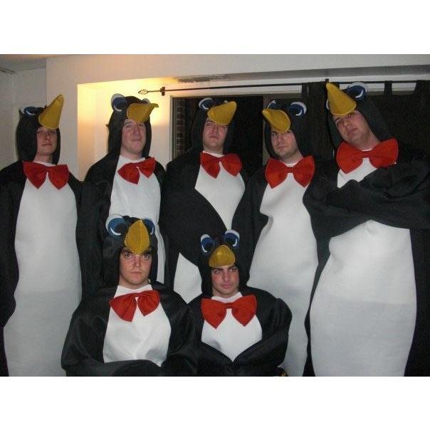 David also likes penguins... This is a picture of him and his law school friends, including Kevin (David's best man - bottom left) on Halloween