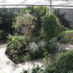 Butterfly House & Aquarium