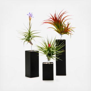 Airplant Vessel Matte Black