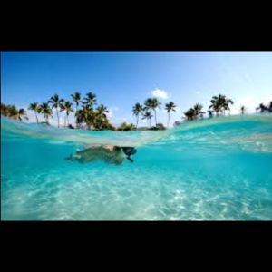 Reef Snorkel at Bahia de las Aguilas
