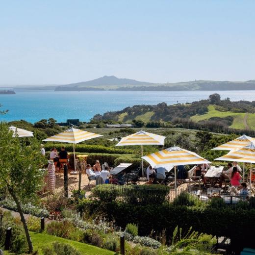 Food and Wine Tour on Waiheke Island