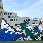 Deer District