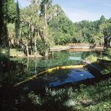 Crystal Springs Preserve