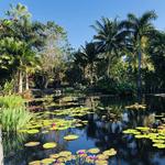 Naples Botanical Garden