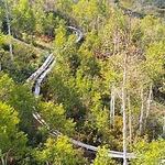 Park City Alpine Coaster & Slide
