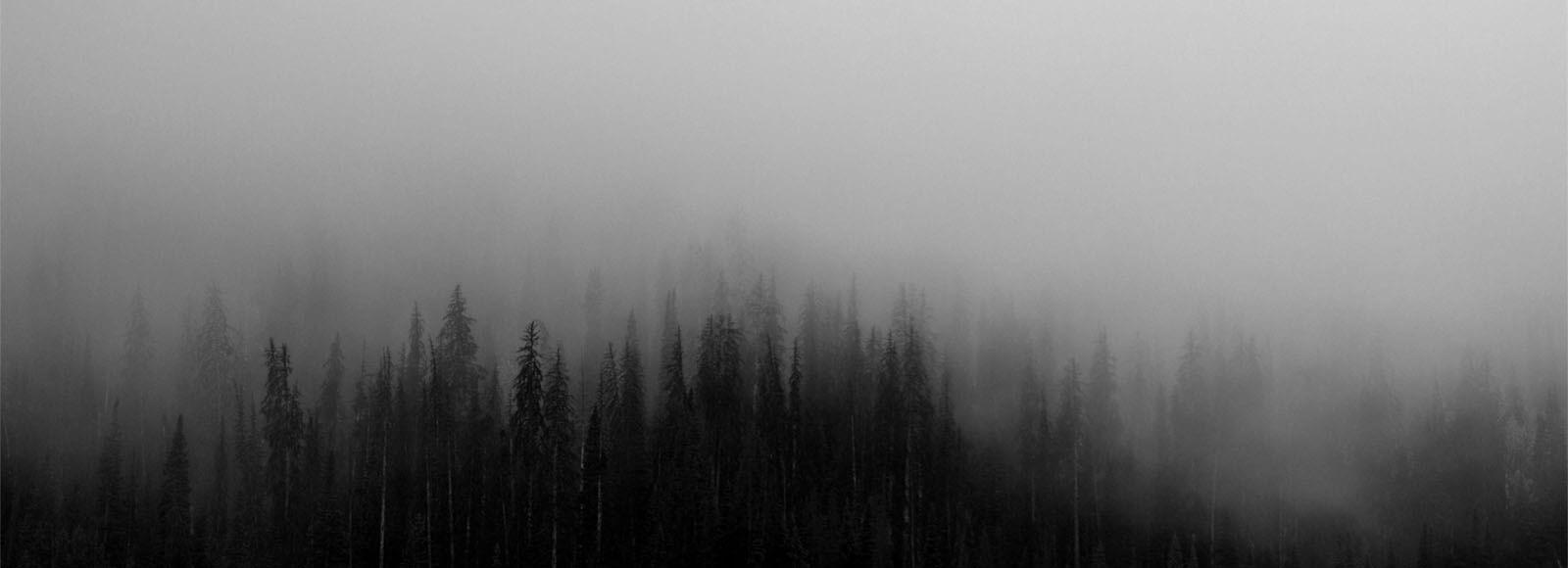 da1216df-a1a2-4621-8915-904069c85cb3