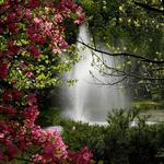 Laurelwood Arboretum