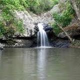 Explore Kondalilla Falls