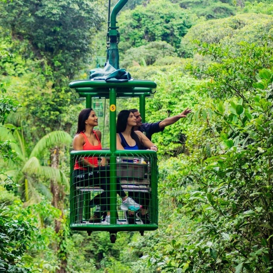Honeymoon - Rainforest Aerial Tram