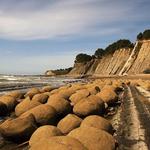 Bowling Ball Beach