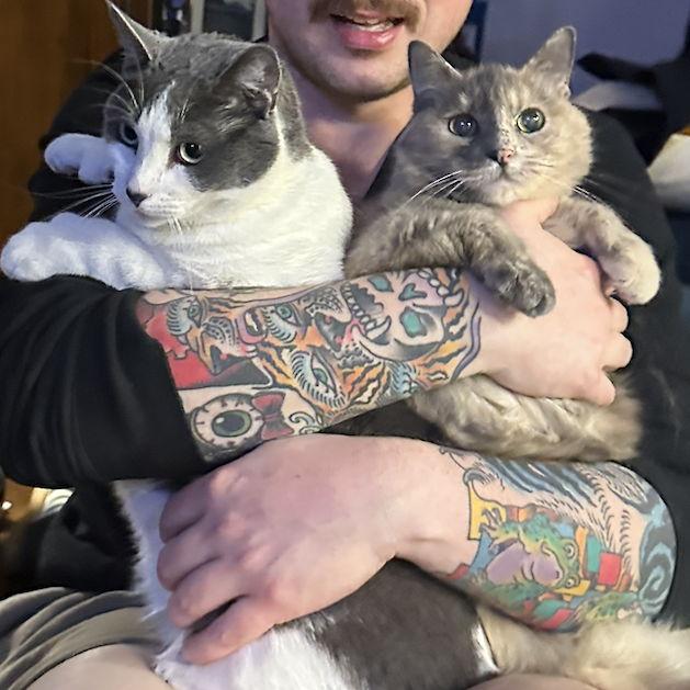 Our kitties - Frankie & Butters