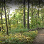 Monte Sano State Park