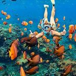 SNORKELING AT CHURCH BAY