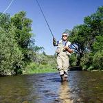 Guided Fly Fishing