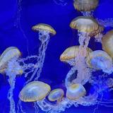 North Carolina Aquarium on Roanoke Island