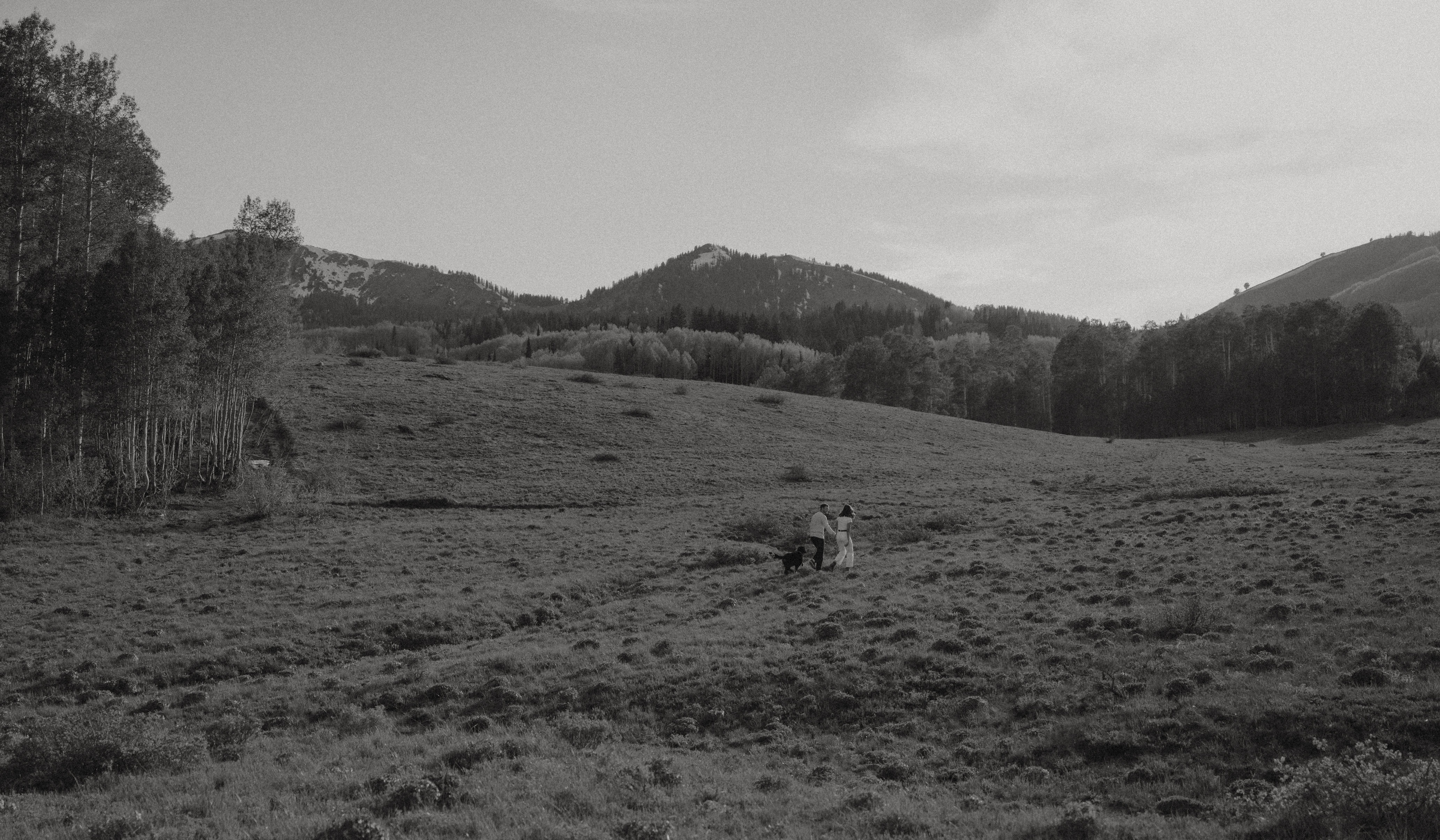 Footer image
