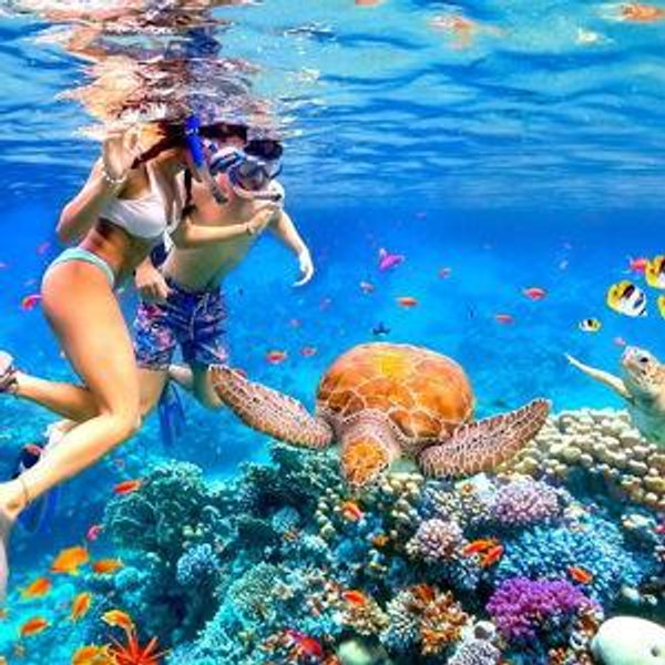 Snorkeling for Two (Honeymoon)