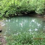 McConnell Springs