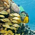 Excursions through the Resort