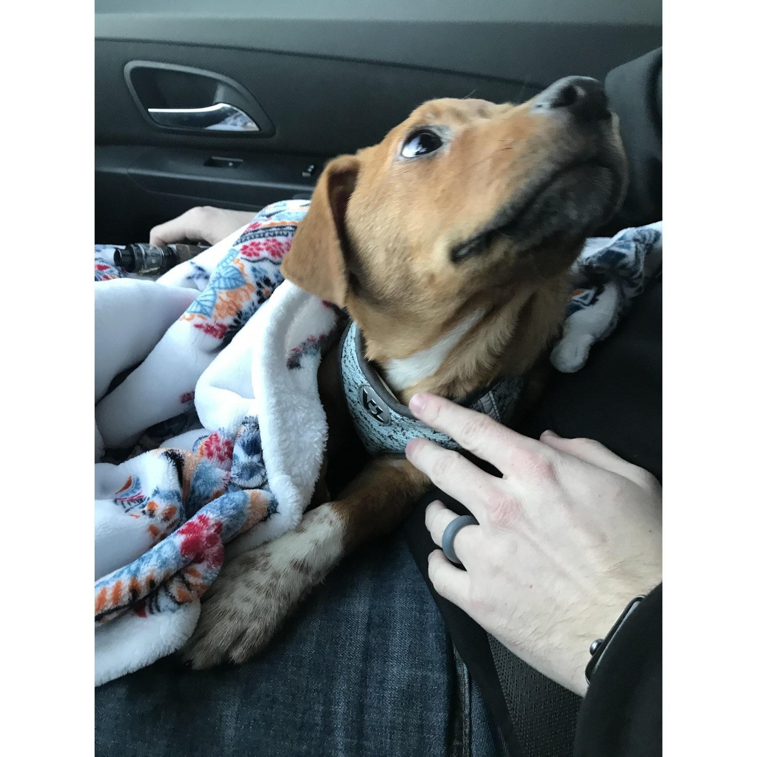 The day we adopted our beautiful girl