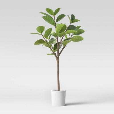 5.8ft Artificial Evergreen Tree in Pot Green/White - Threshold™