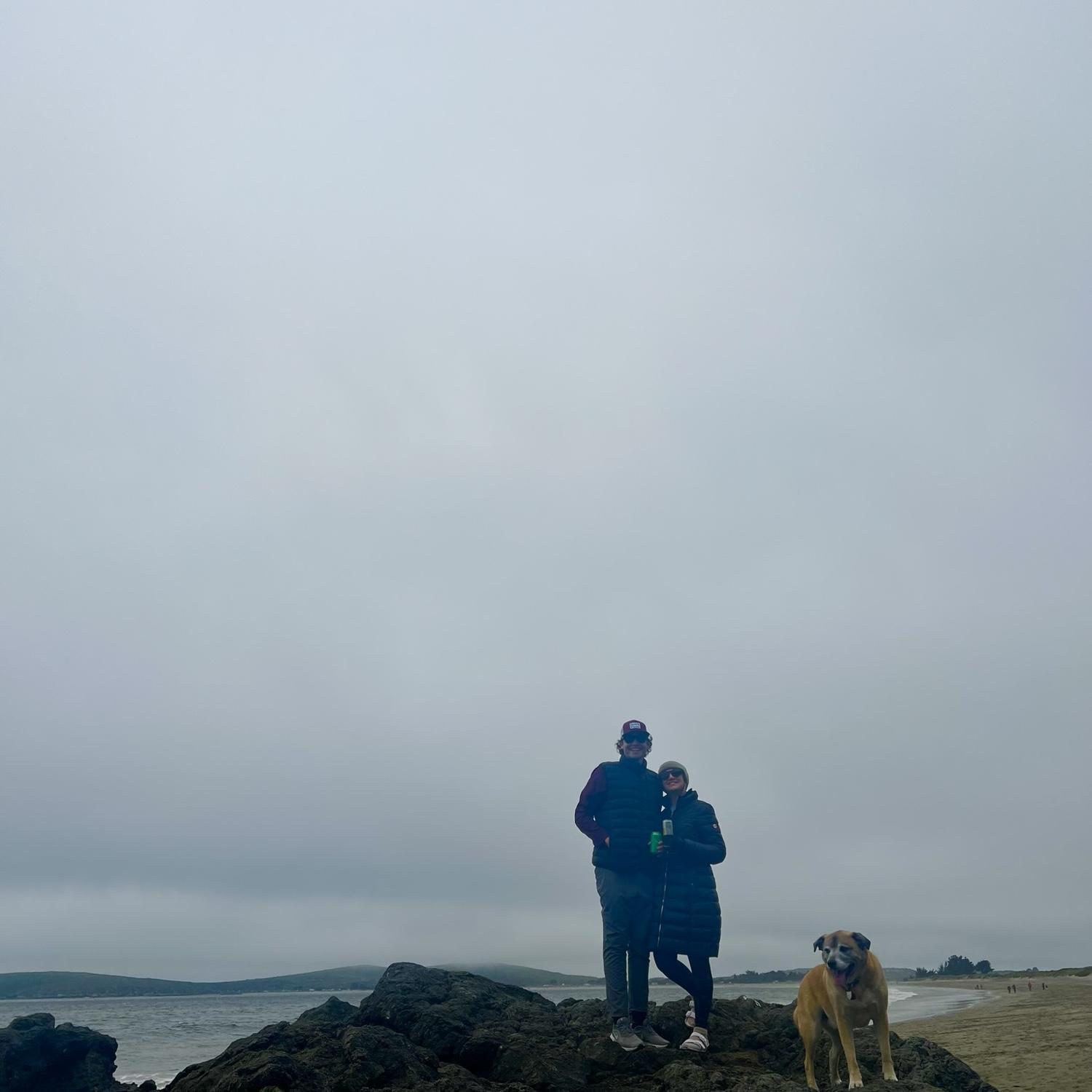 Bodega Bay