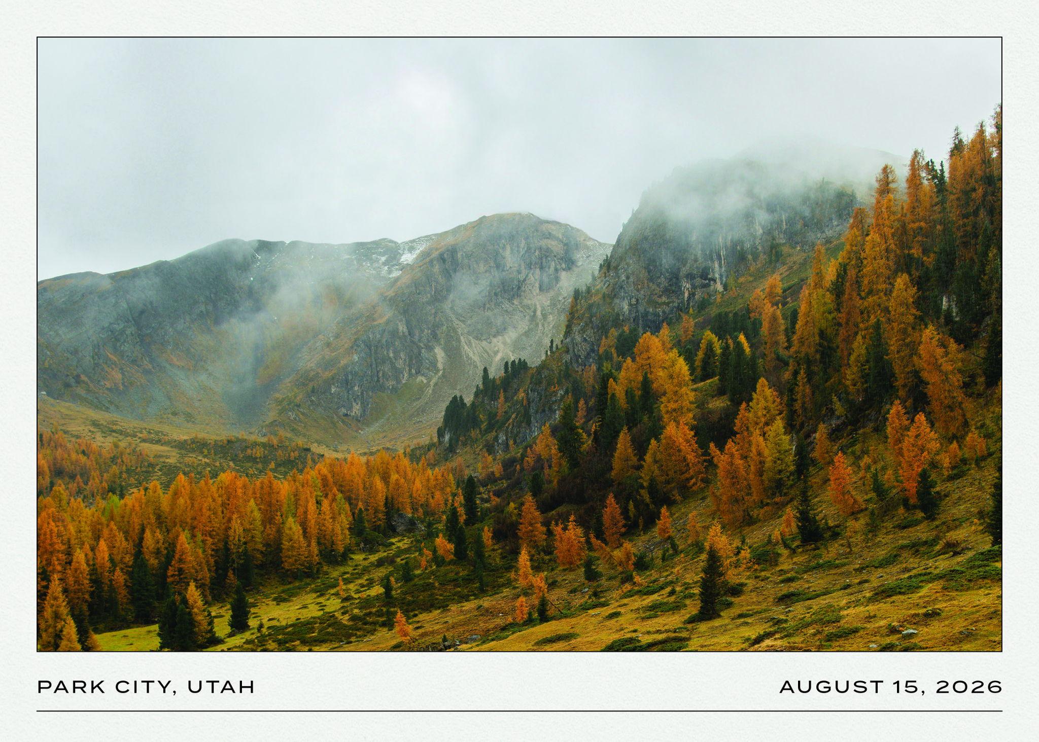 The Wedding Website of Erica Lee and Anuj Desai