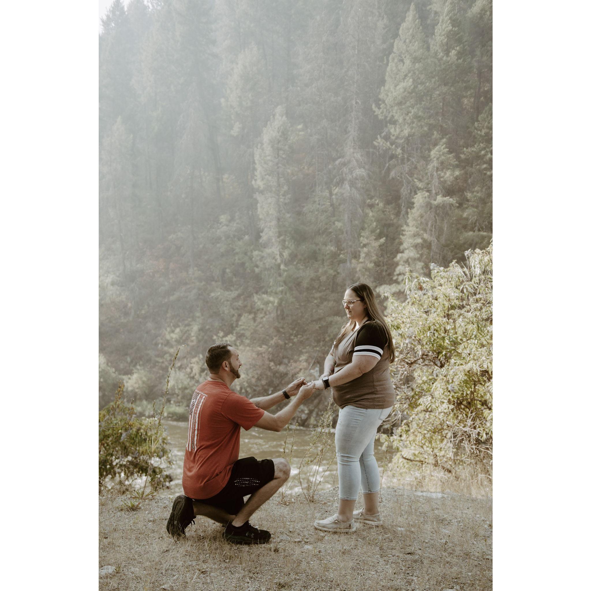 Proposal August 2024