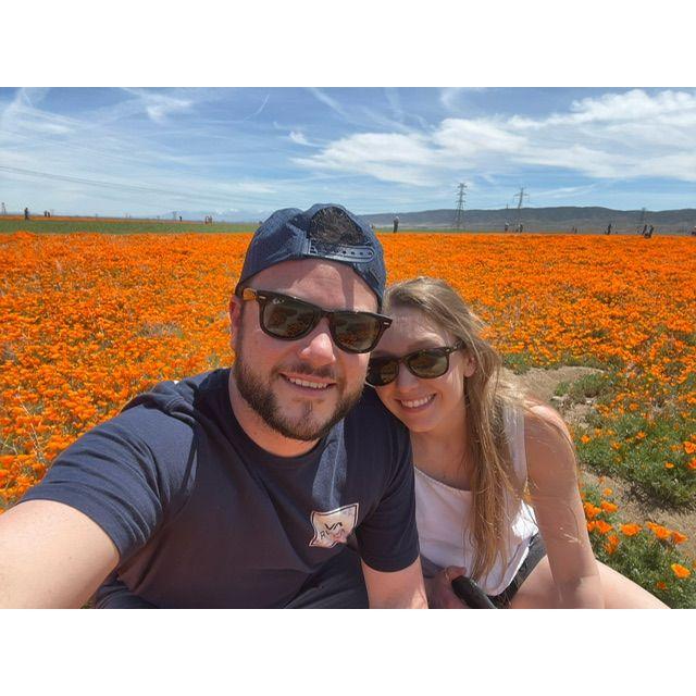 We drove down to Southern California to see the poppy super bloom.