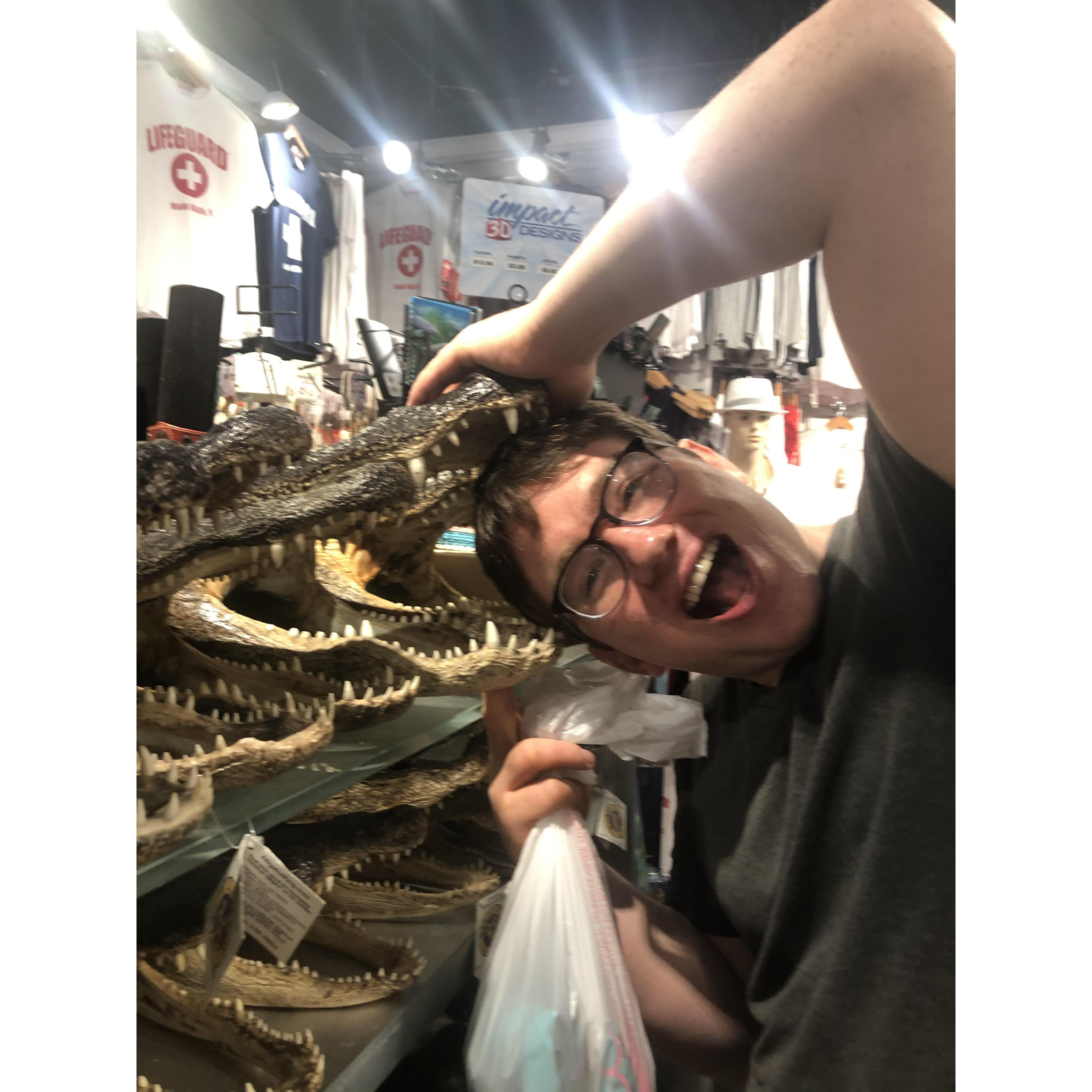 Admiring the local wildlife - Miami, 2020