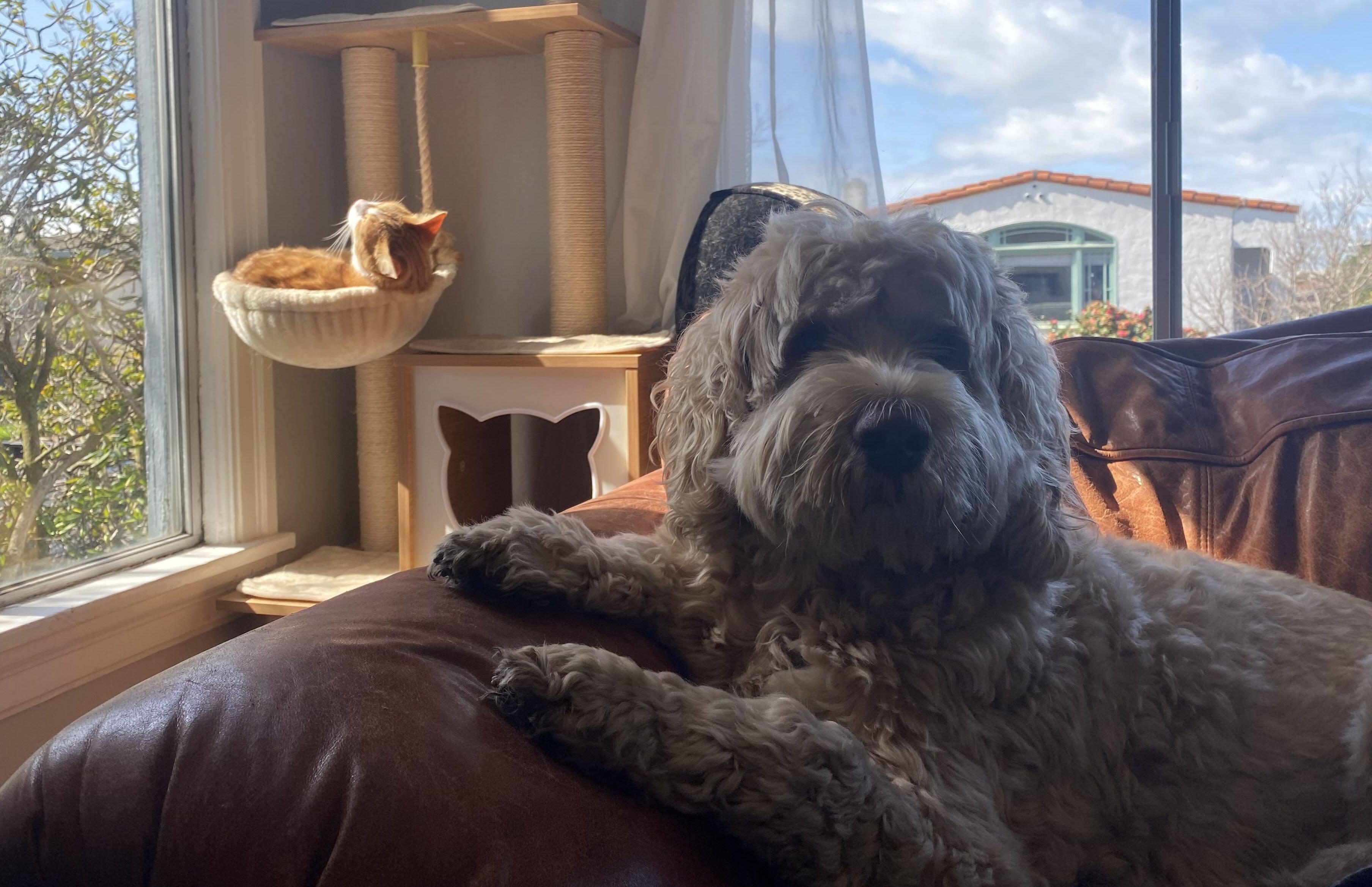 The Wedding Website of Williston Mortenson and Rachel Eisenstat