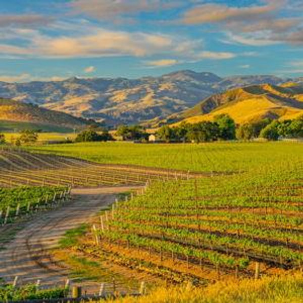 Wine Tour For Two in Santa Barbara