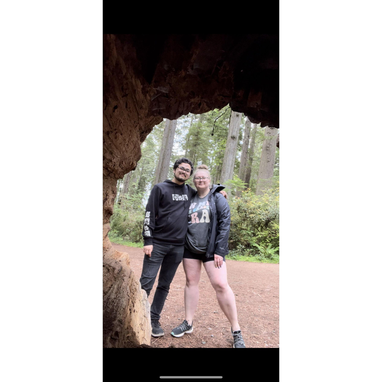 The view from inside a redwood - 6 year anniversary trip 2024!