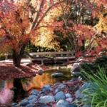 Minnesota Landscape Arboretum