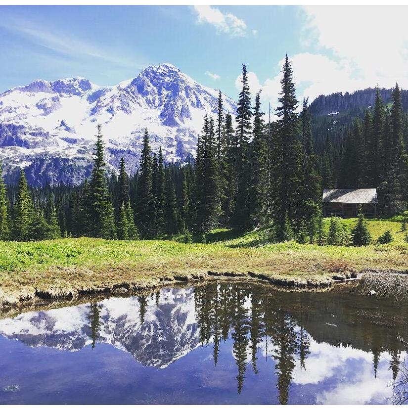 A snap from our week trek around Mt Rainier