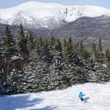 Wildcat Mountain