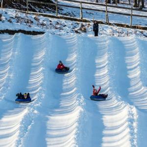 Snow Tubing