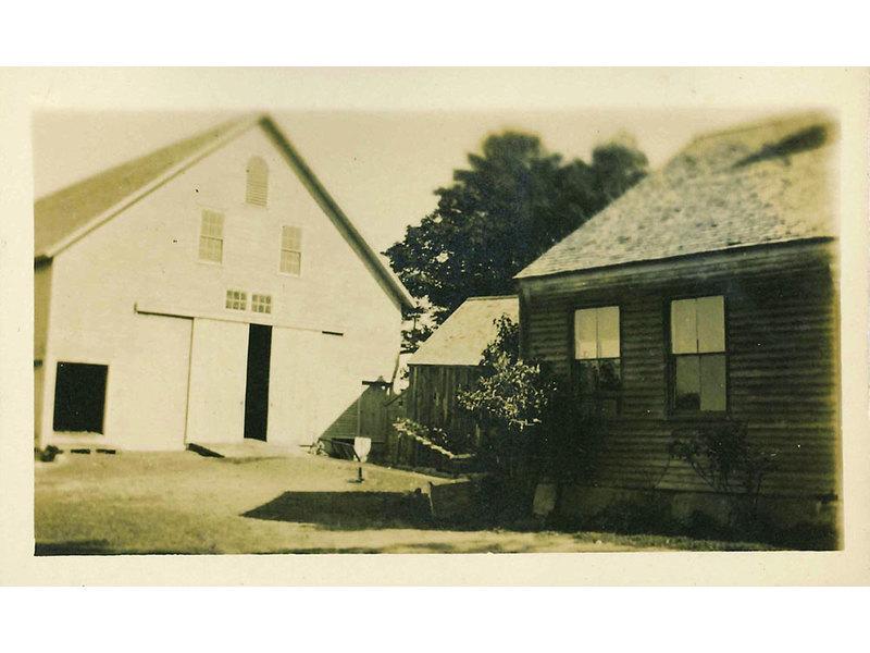 The Wedding Website of Patricia Collins and Michael Meserve