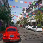 𝒲𝒶𝓁𝓀... EVERYWHERE!!!