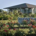 The Arboretum, State Botanical Garden of KY