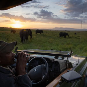 Masai Mara - African Safari Stay