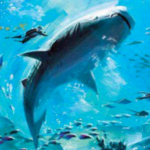 Georgia Aquarium