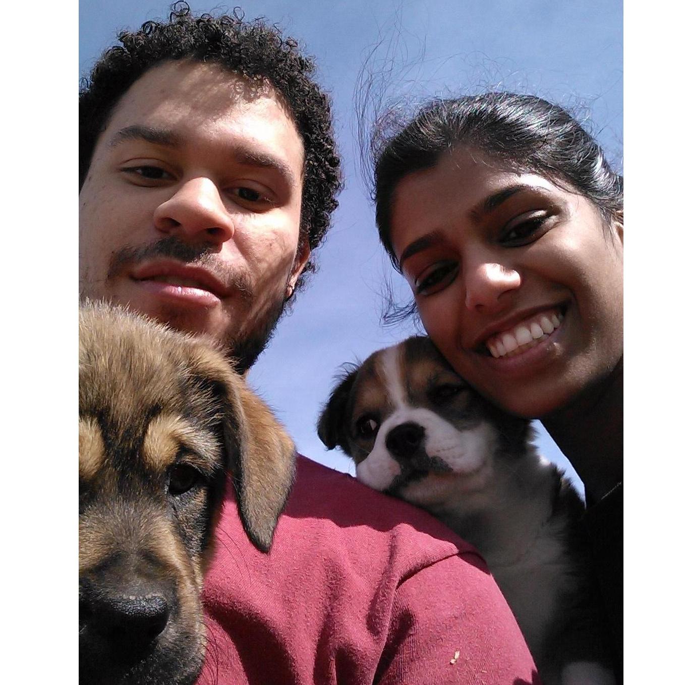Veterinary Medicine fraternity (OTS) Volunteer event with bunch of cute puppies