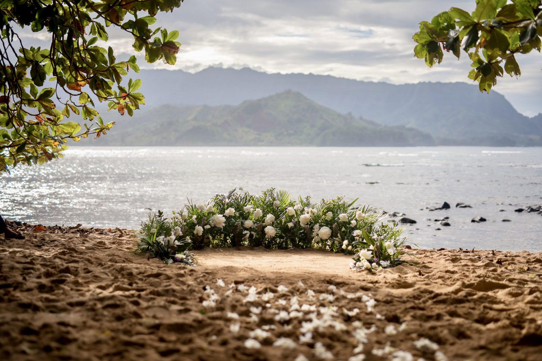 da3a3ee1-839f-48df-95c3-daa35b14639f