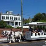 Horsedrawn Tours Wilmington, NC