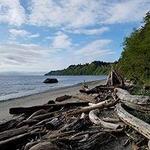 Point No Point Lighthouse