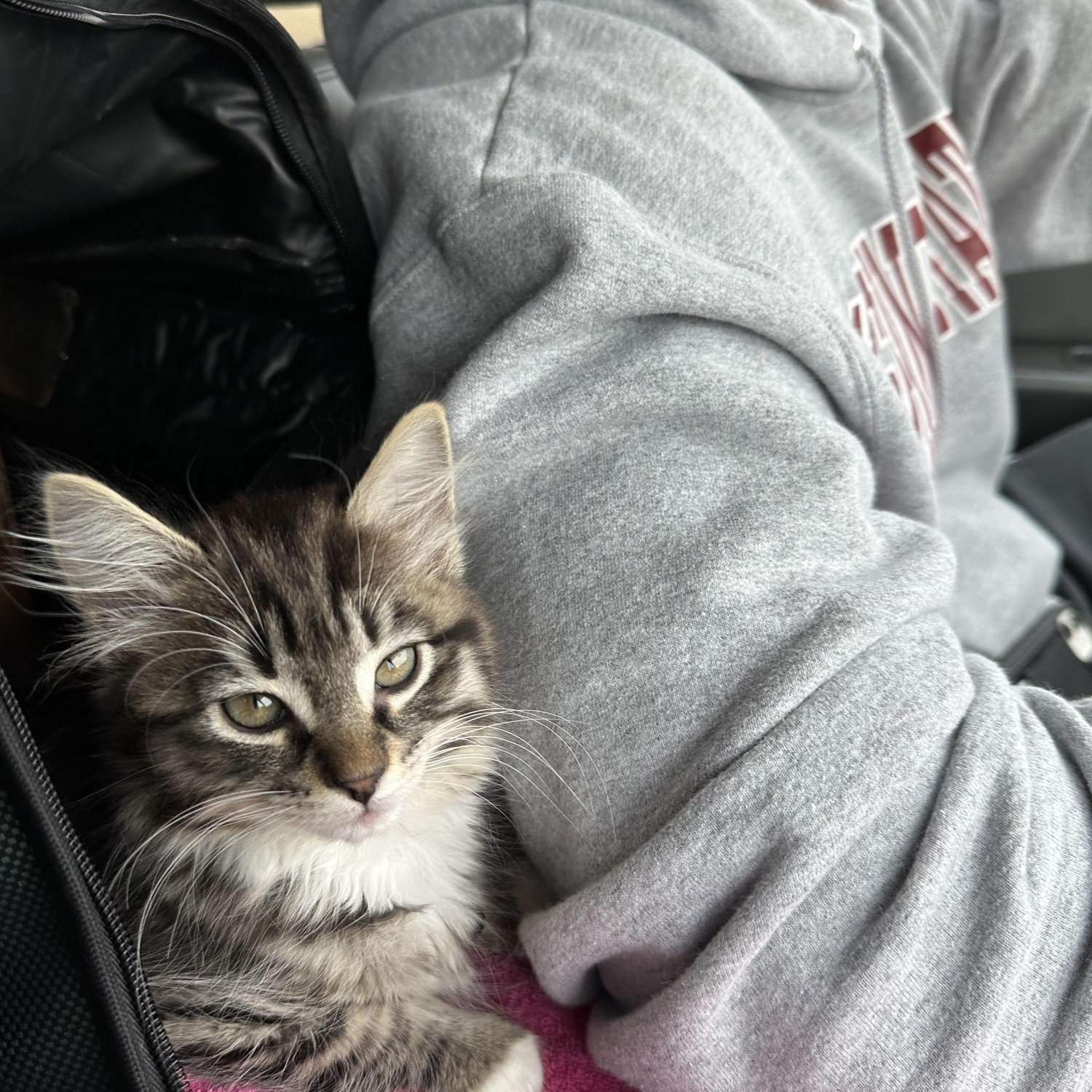 Our first child - Nova!