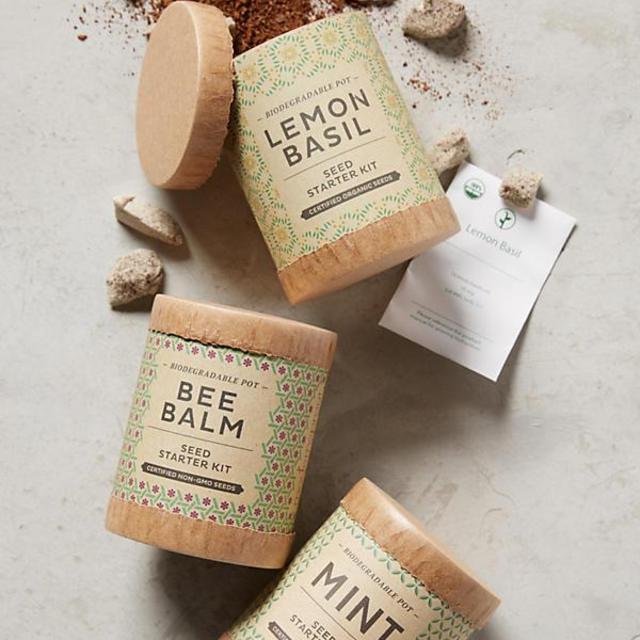 Herbal Tea Seed Starter Set
