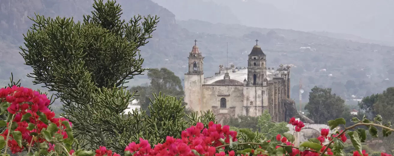The Wedding Website of Nicole González-Hermosillo Holtz and Darrell Bishop
