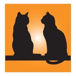 Spoiling our cats